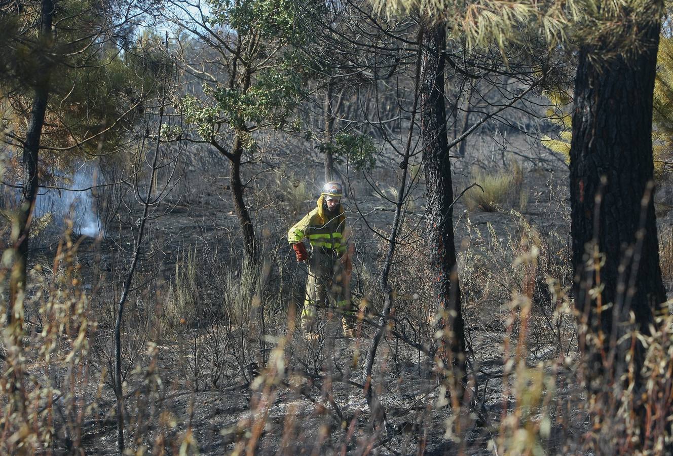 Labores de extinción del incendio de San Andrés de Montejos