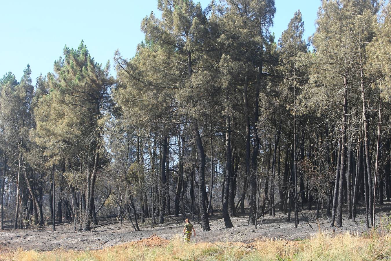 Labores de extinción del incendio de San Andrés de Montejos