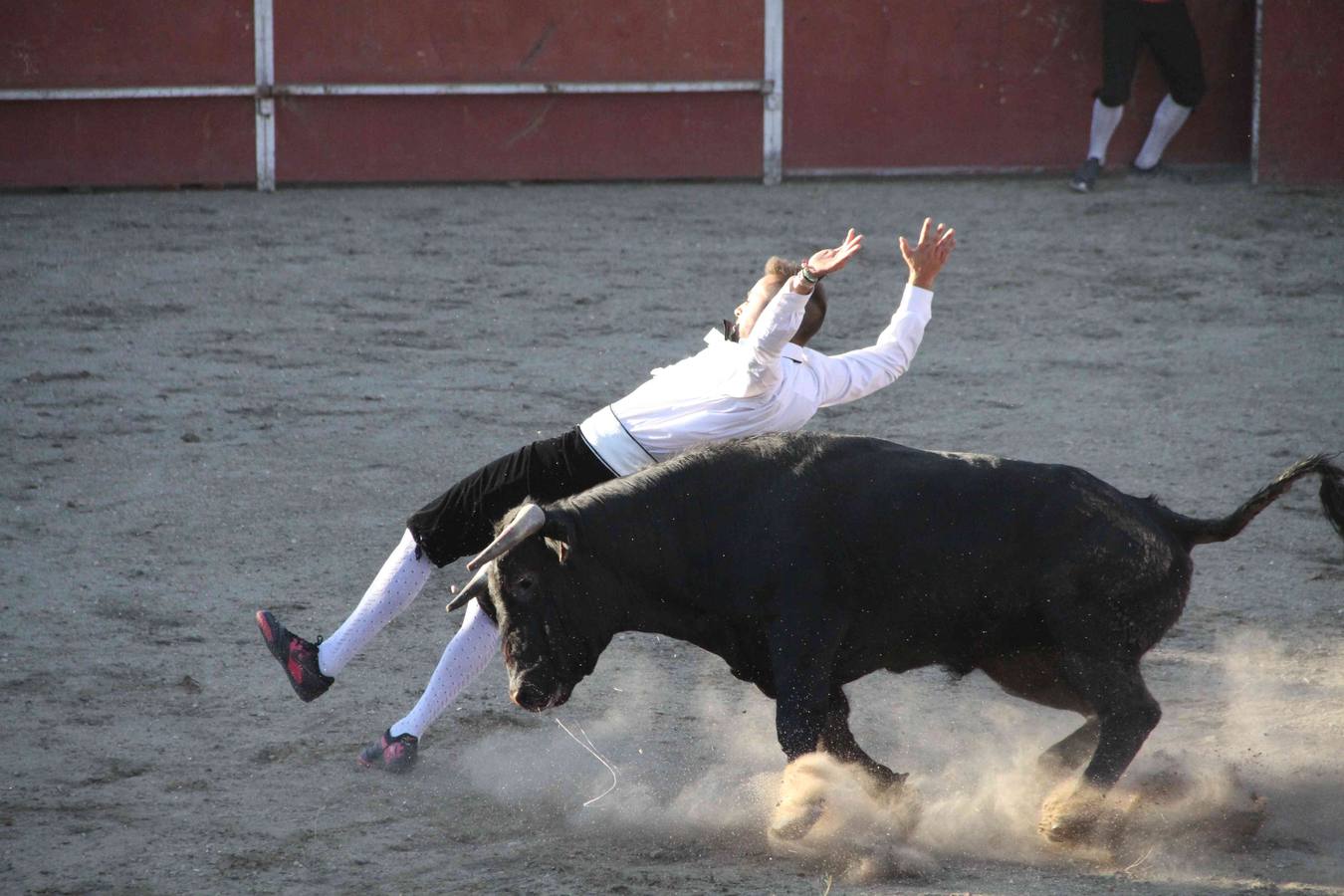Concurso de cortes de Campaspero (Valladolid)