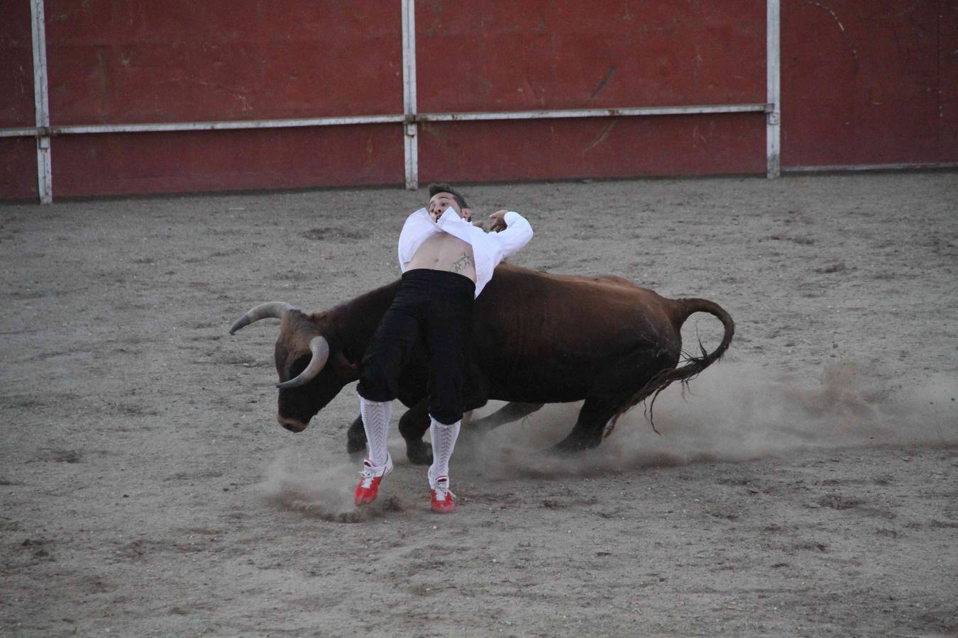 Concurso de cortes de Campaspero (Valladolid)