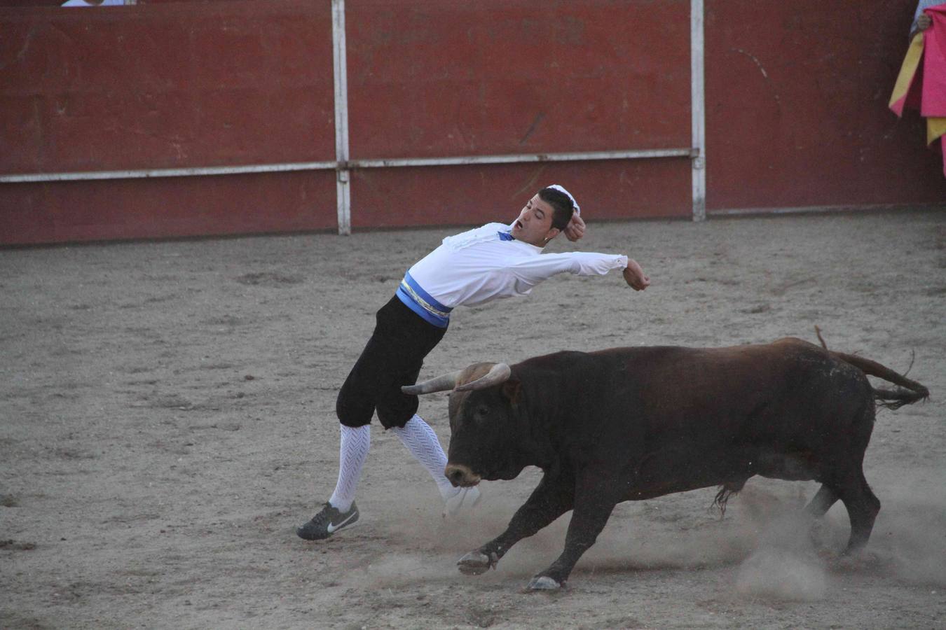 Concurso de cortes de Campaspero (Valladolid)