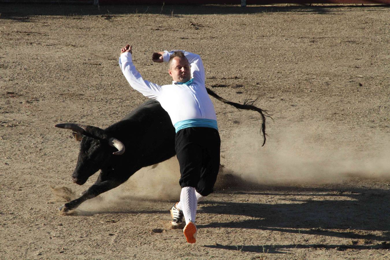 Concurso de cortes de Campaspero (Valladolid)