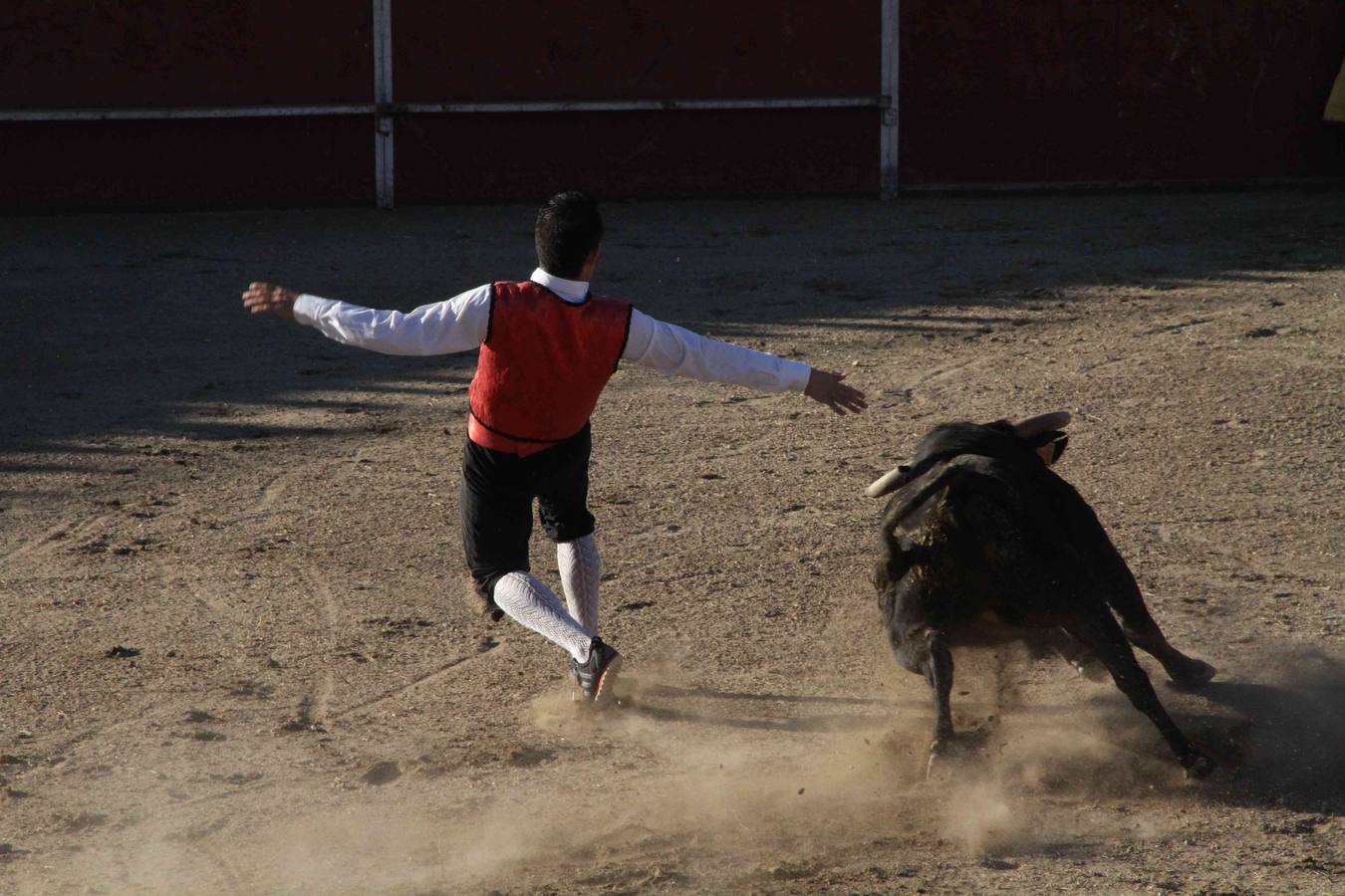 Concurso de cortes de Campaspero (Valladolid)