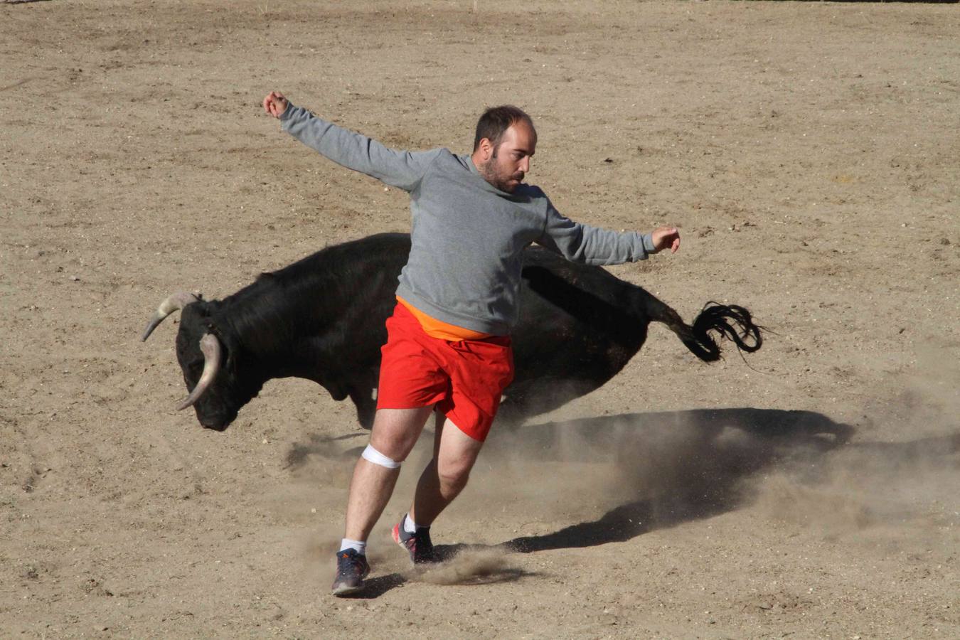 Toro del Páramo y capea matinal en las fiestas de Campaspero (1/2)