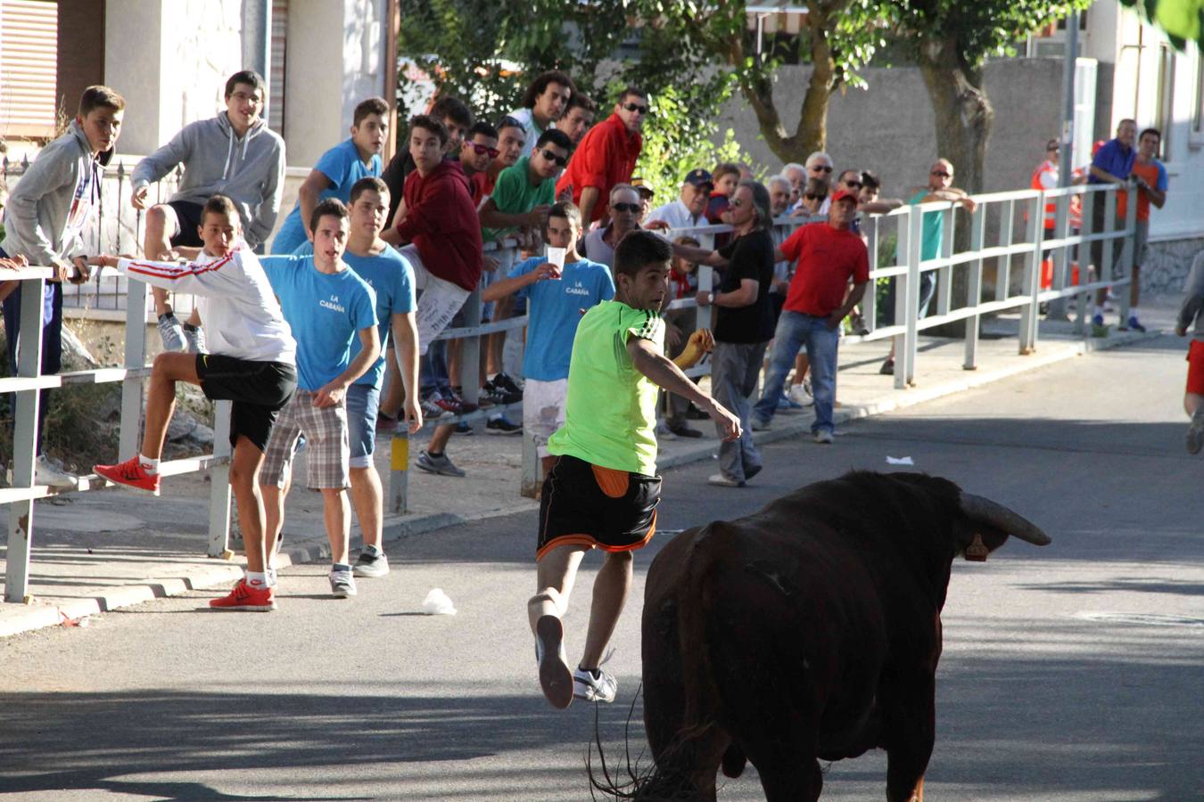 Toro del Páramo y capea matinal en las fiestas de Campaspero (2/2)