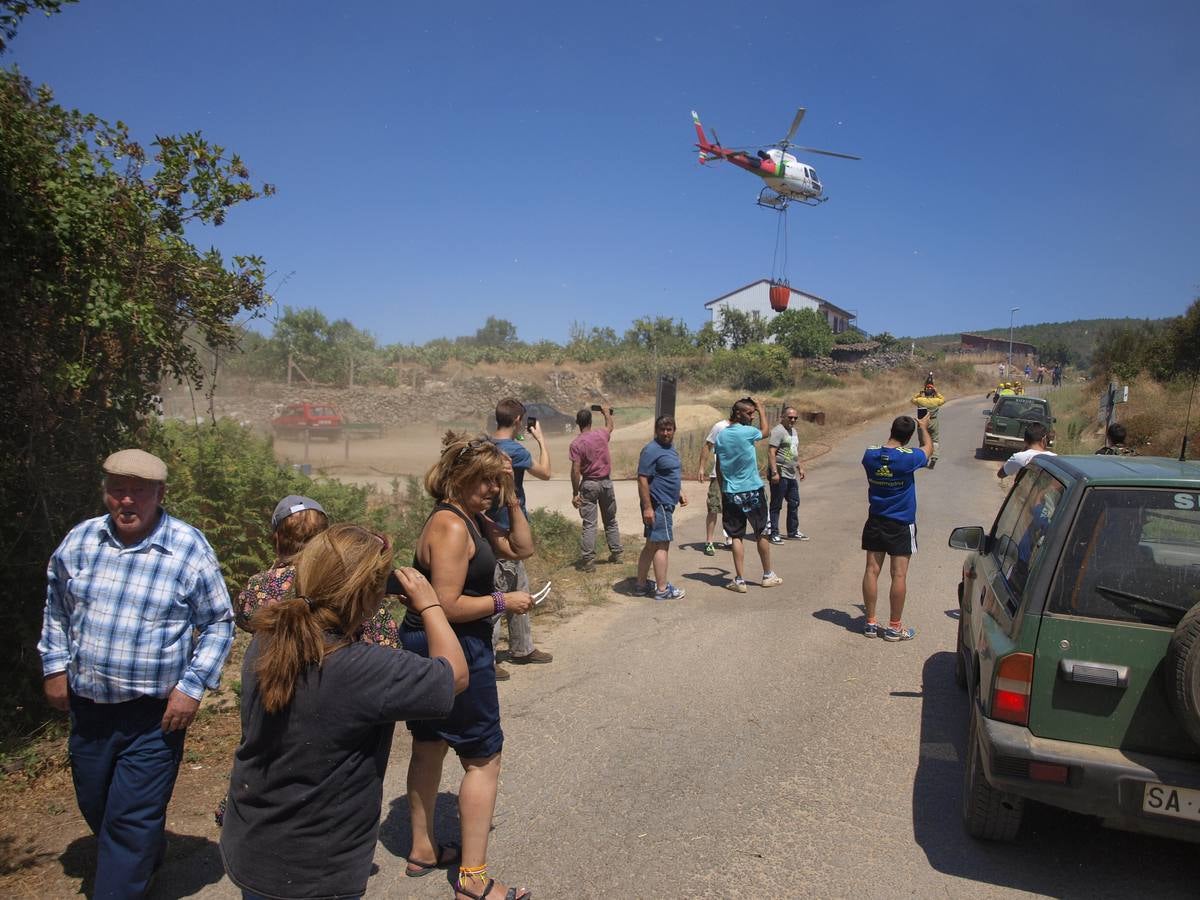Incendio en Cepeda (Salamanca) 1/2