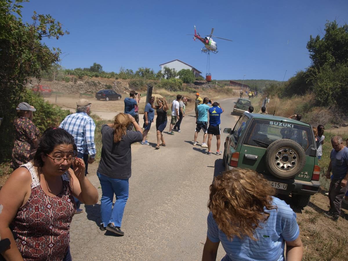 Incendio en Cepeda (Salamanca) 1/2