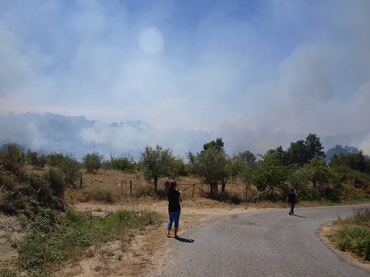 Incendio en Cepeda (Salamanca) 1/2