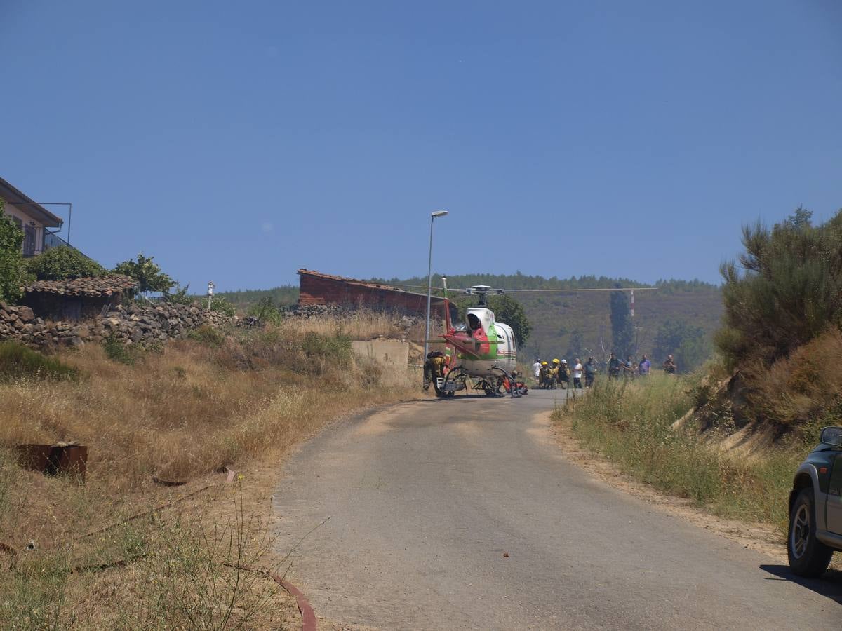 Incendio en Cepeda (Salamanca) 1/2