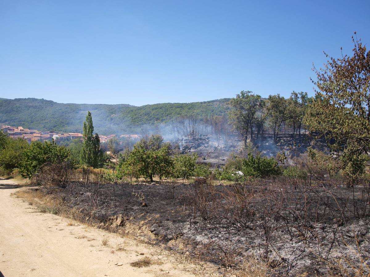 Incendio en Cepeda (Salamanca) 2/2