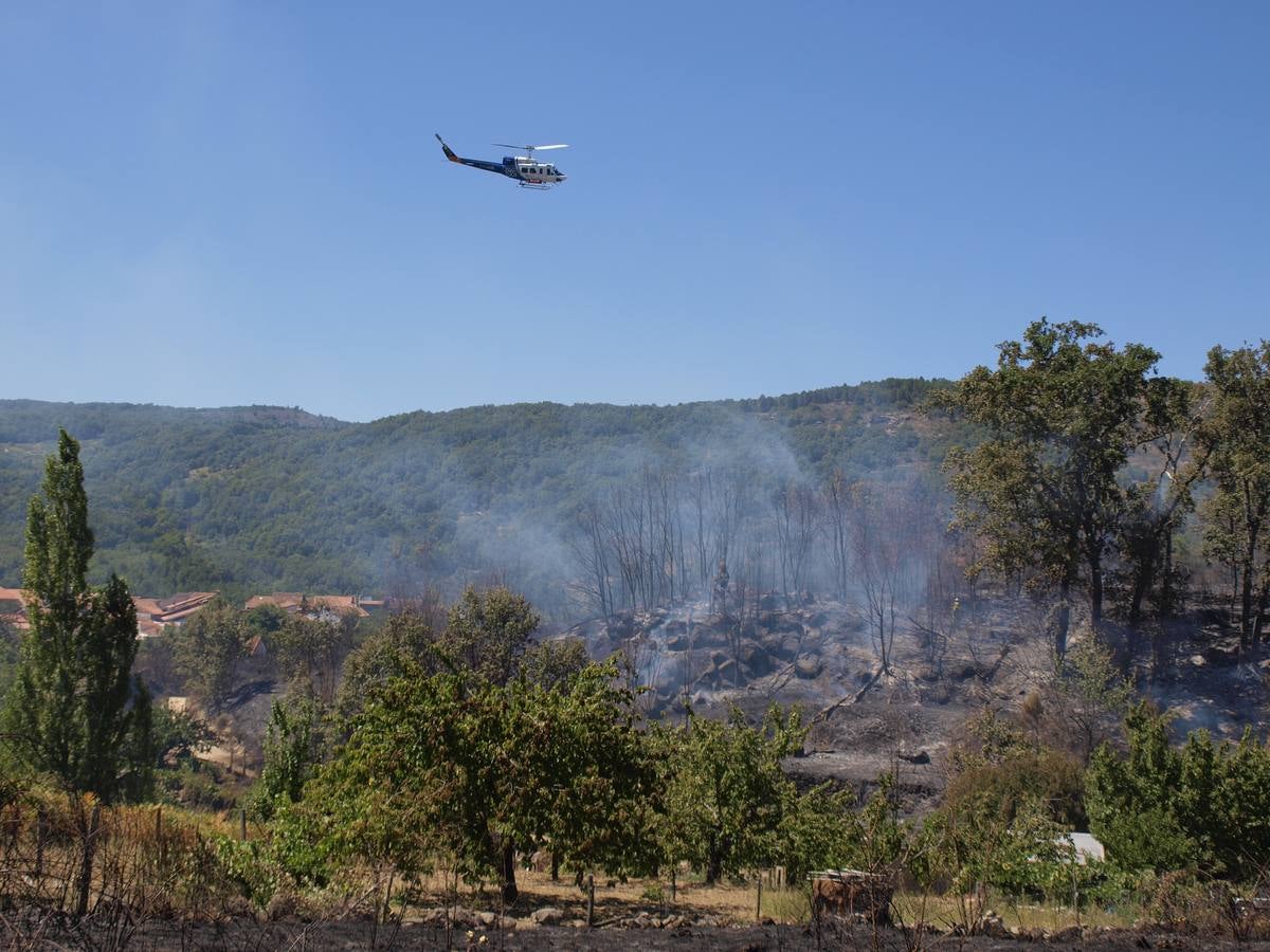 Incendio en Cepeda (Salamanca) 2/2