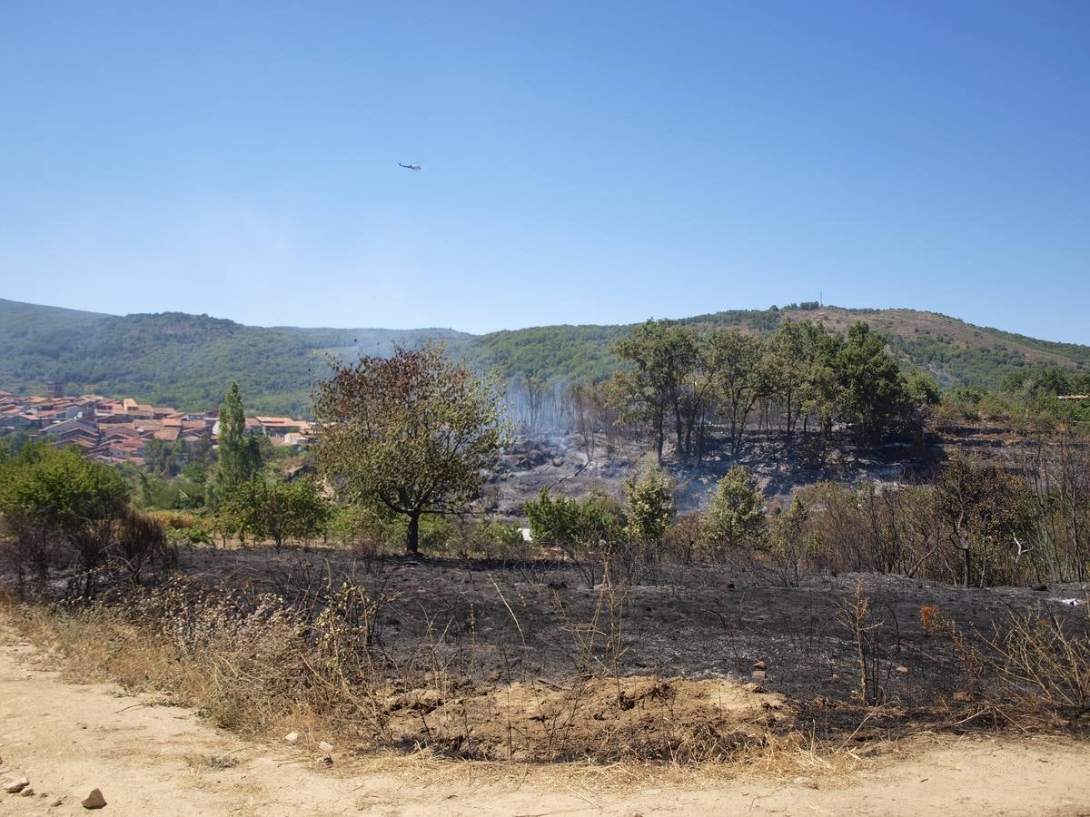 Incendio en Cepeda (Salamanca) 2/2
