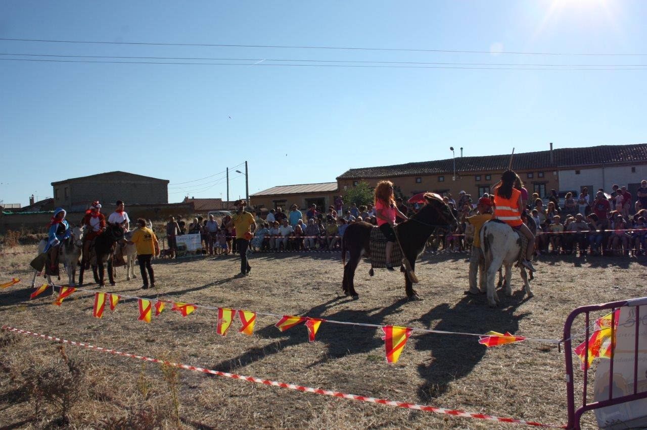 Burro-polo en Benafarces (Valladolid)