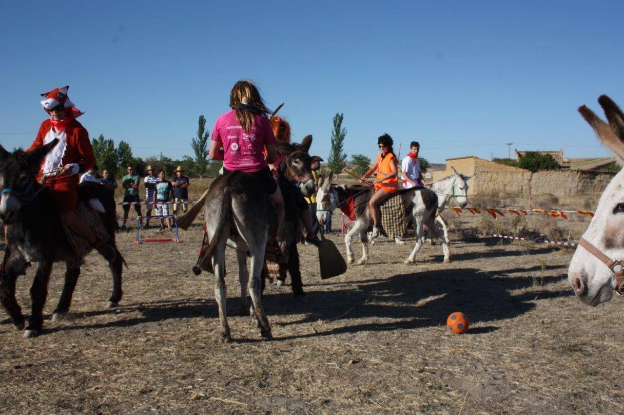 Burro-polo en Benafarces (Valladolid)