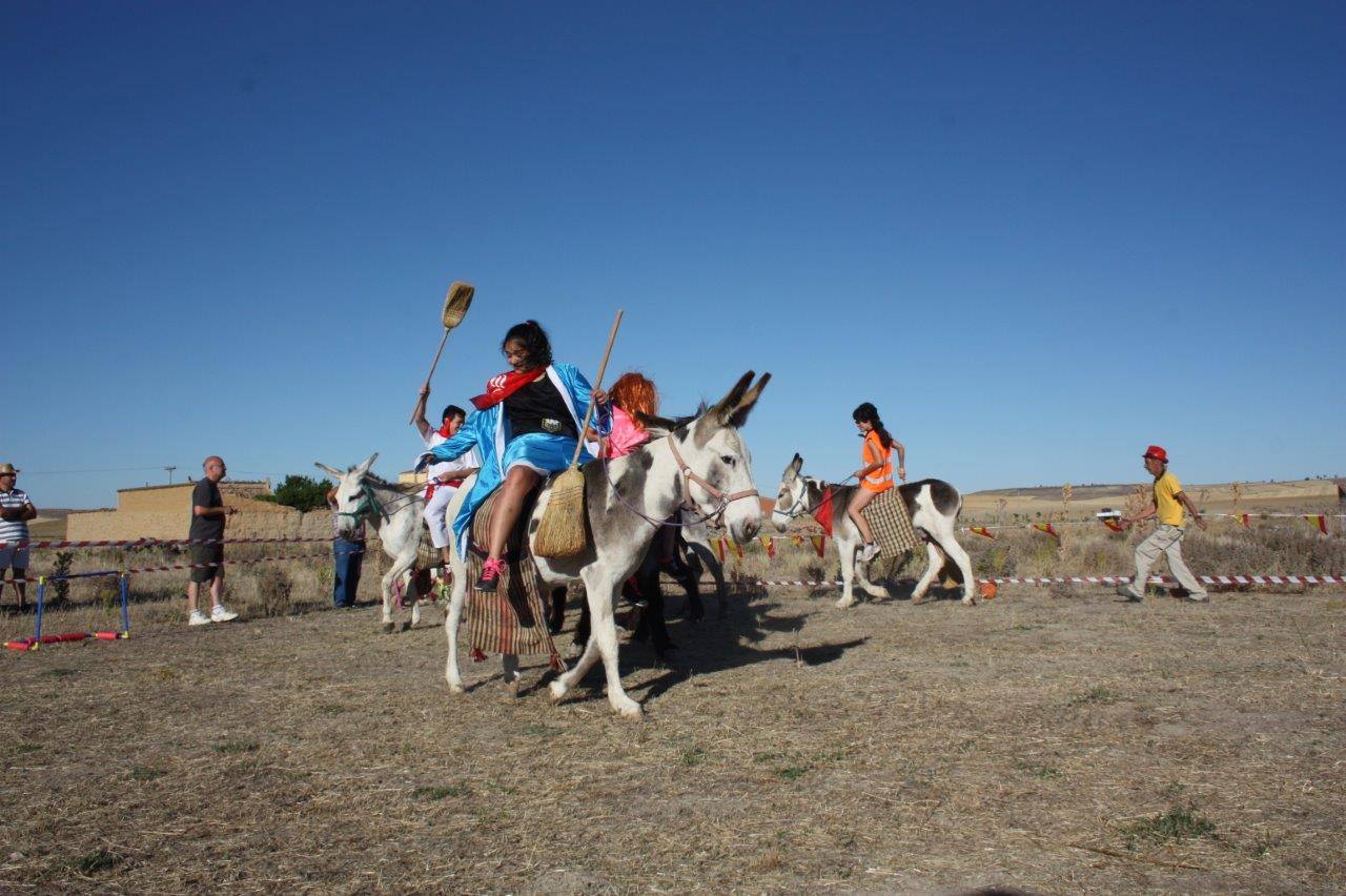 Burro-polo en Benafarces (Valladolid)