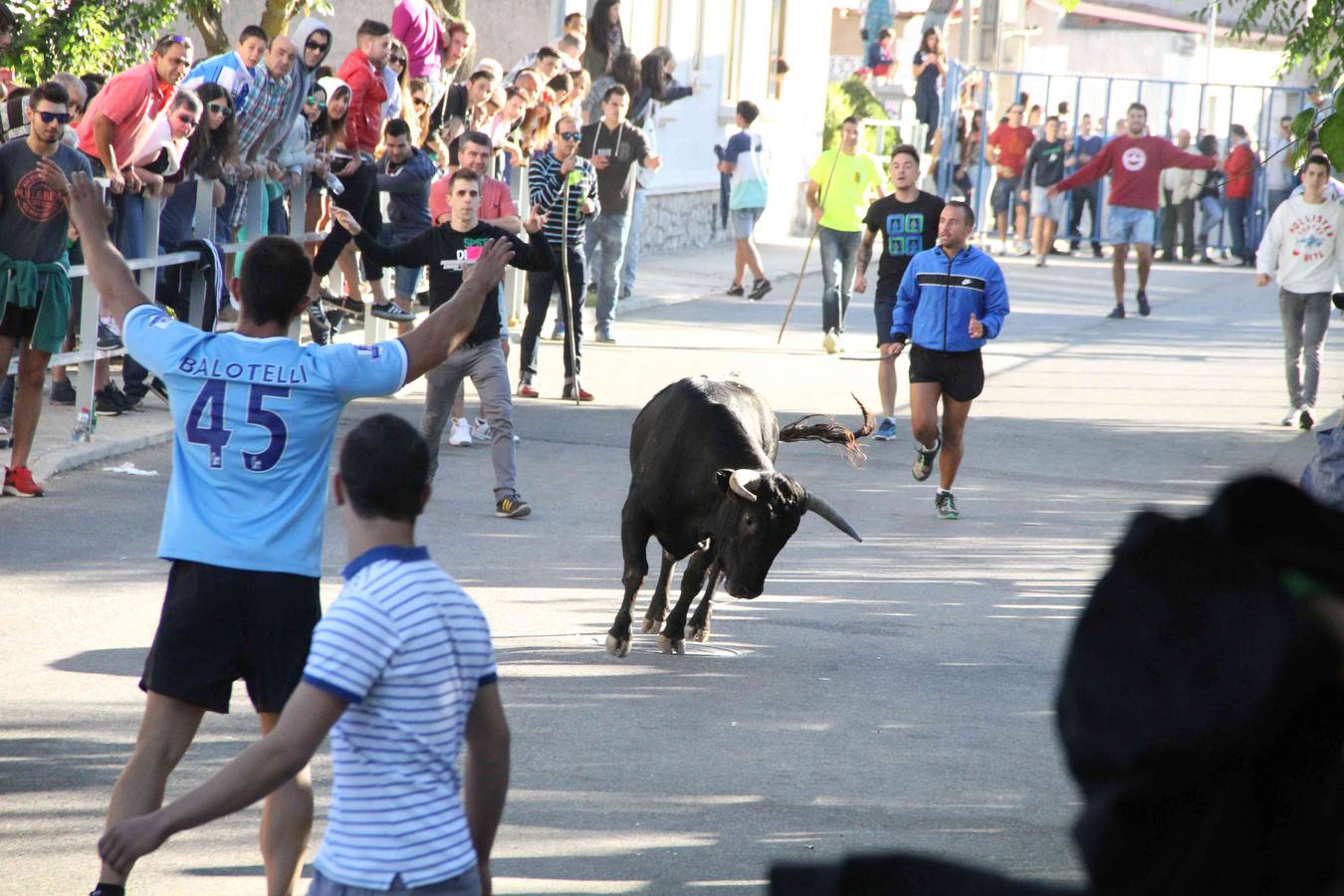 Encierro y capea en Campaspero (Valladolid) 1/2