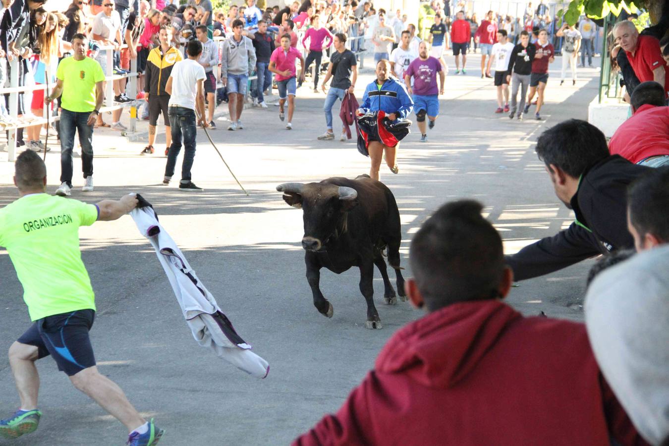 Encierro y capea en Campaspero (Valladolid) 1/2