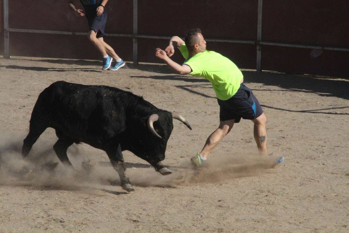 Encierro y capea en Campaspero (Valladolid) 1/2