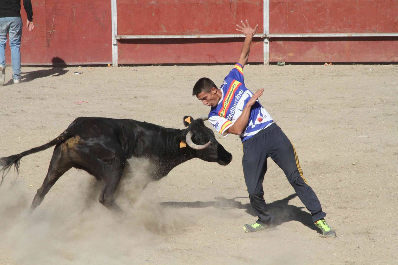 Encierro y capea en Campaspero (Valladolid) 2/2