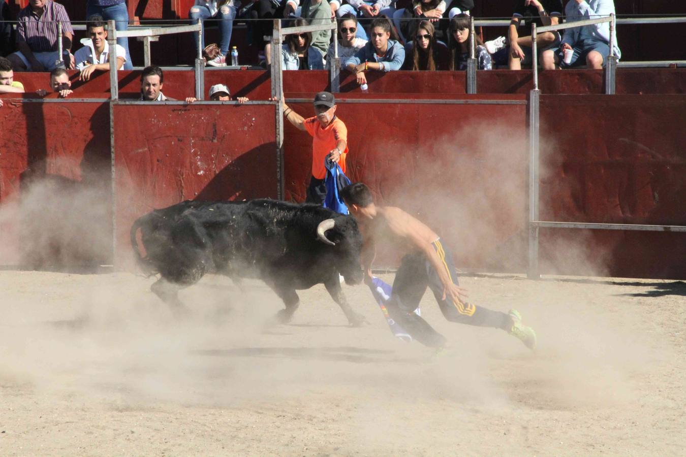 Encierro y capea en Campaspero (Valladolid) 2/2