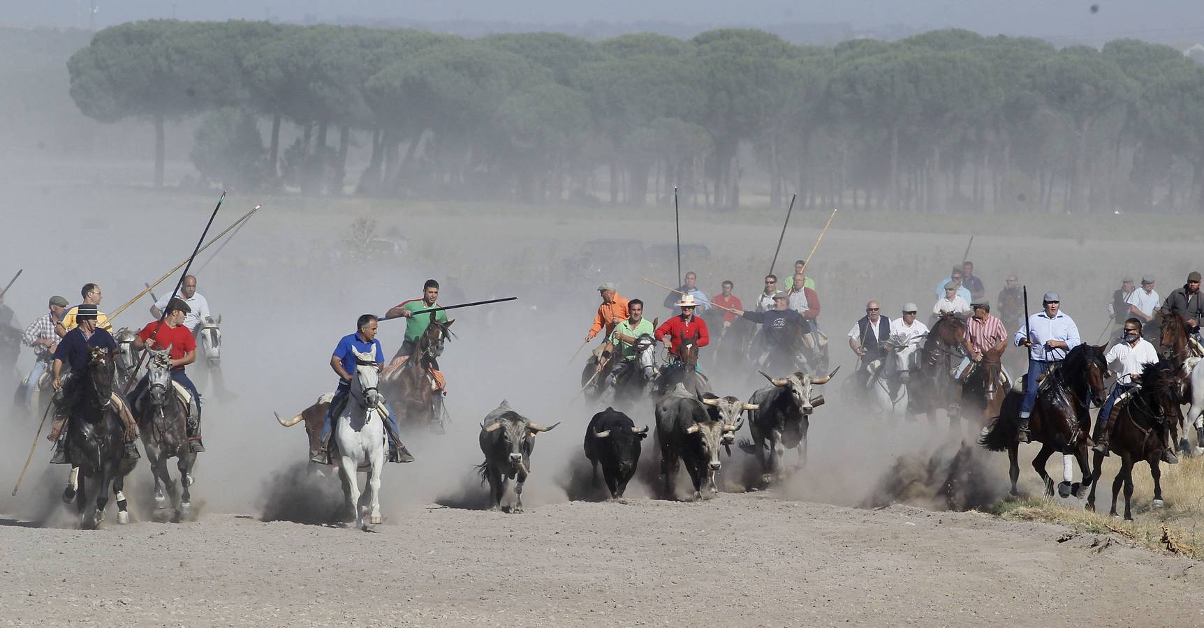 Aldeamayor de San Martín. Encierro campero.