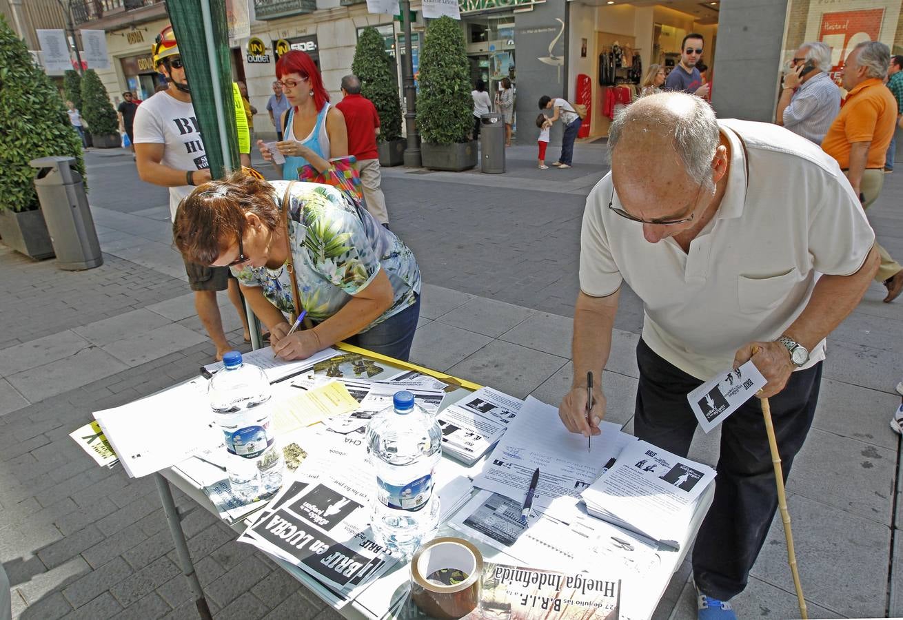 Brigadistas forestales recogen firmas en la calle Santiago de Valladolid
