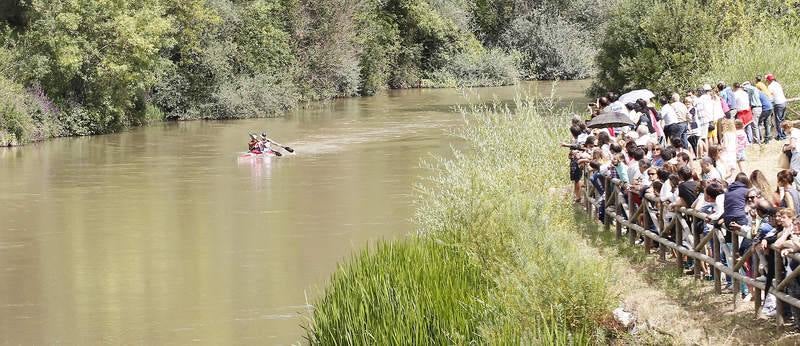 Descenso en piraguas por el Río Pisuerga en Alar del Rey