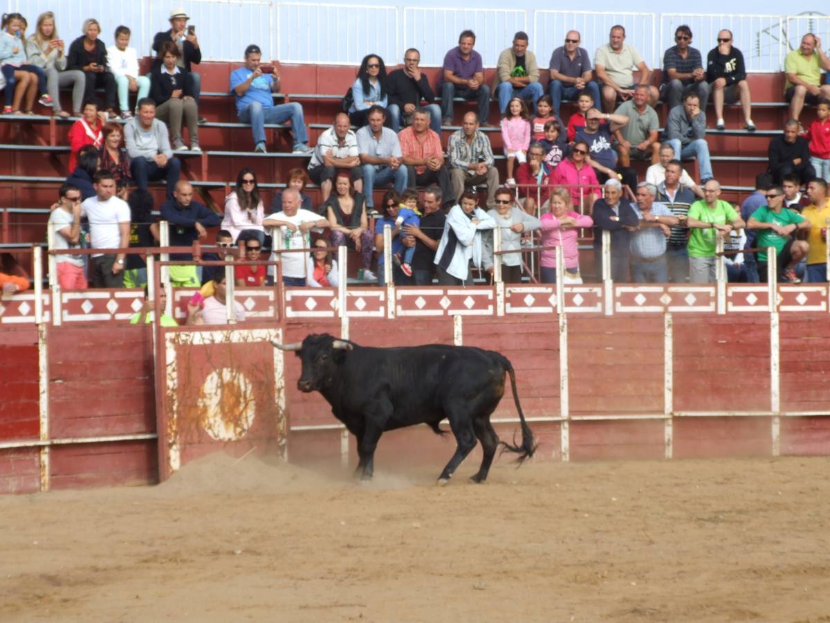 Exhibición de recortes en Cantalpino