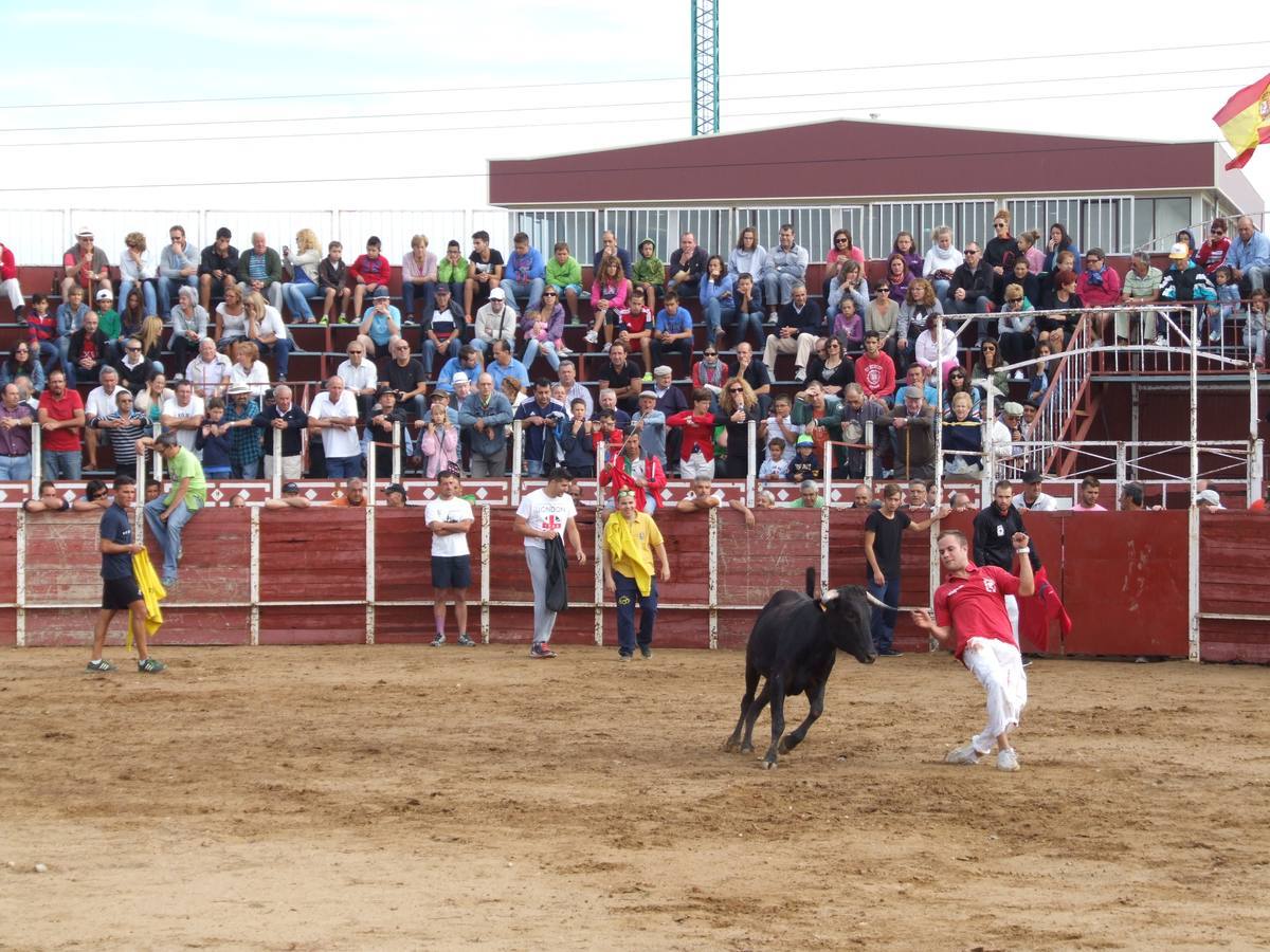 Exhibición de recortes en Cantalpino