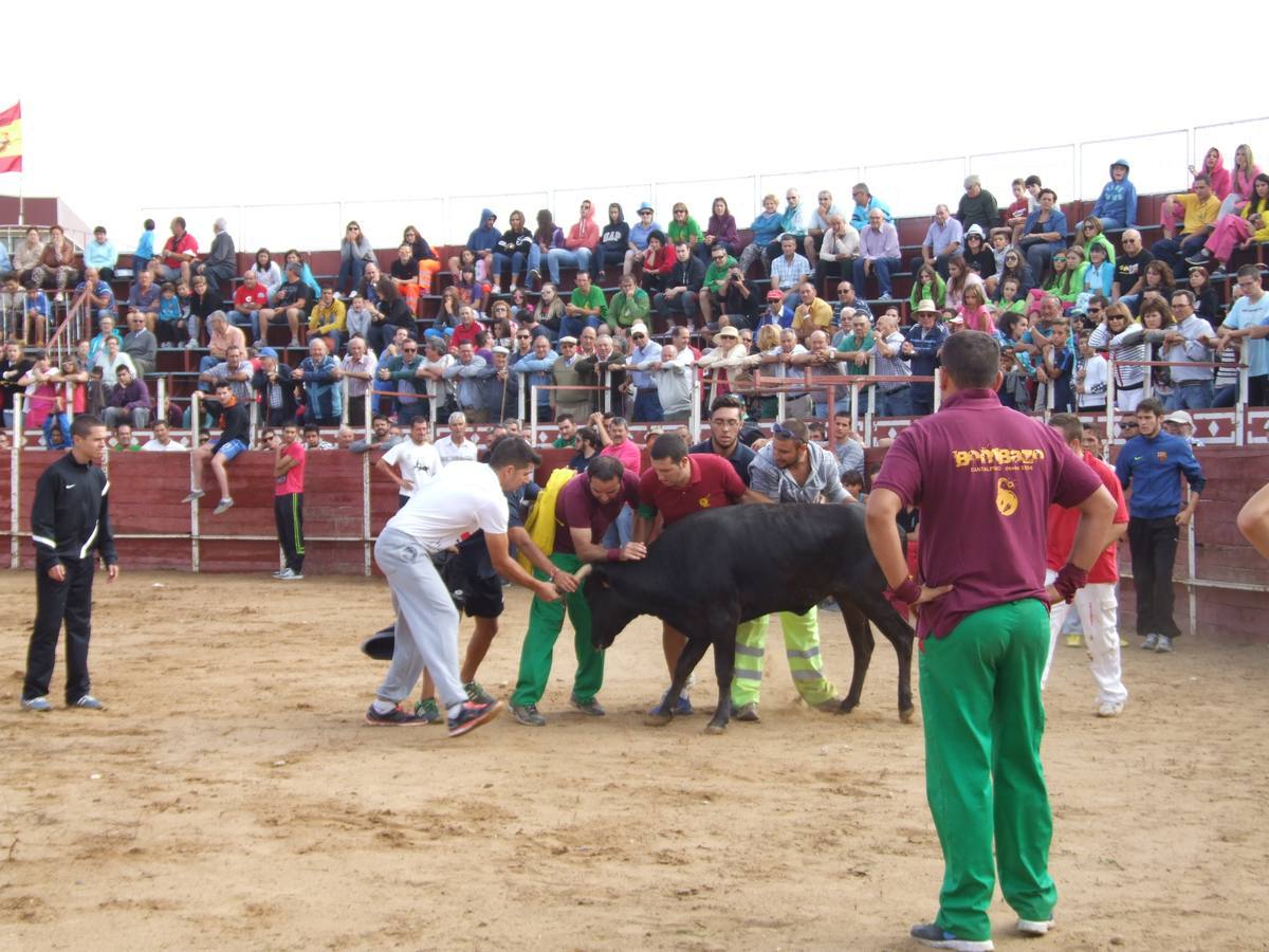 Exhibición de recortes en Cantalpino