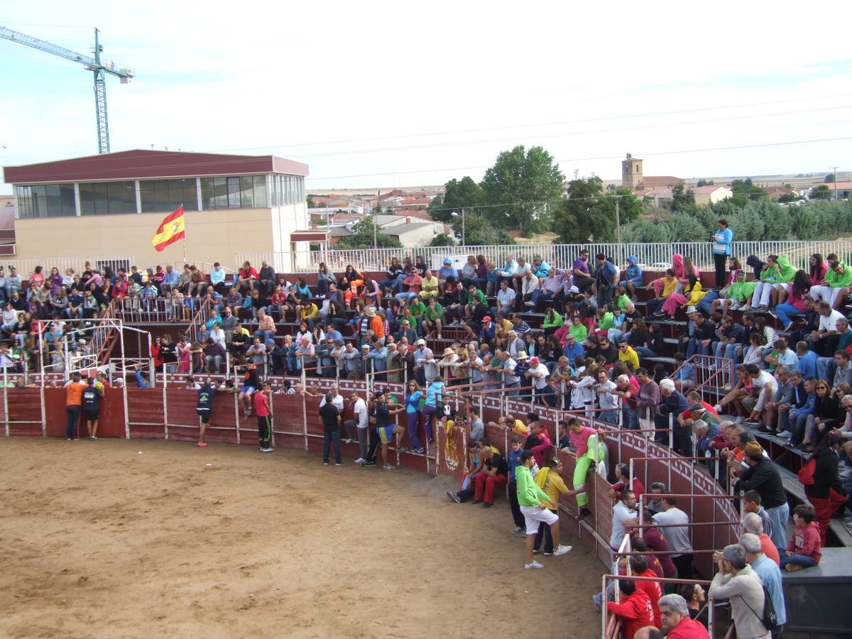 Exhibición de recortes en Cantalpino