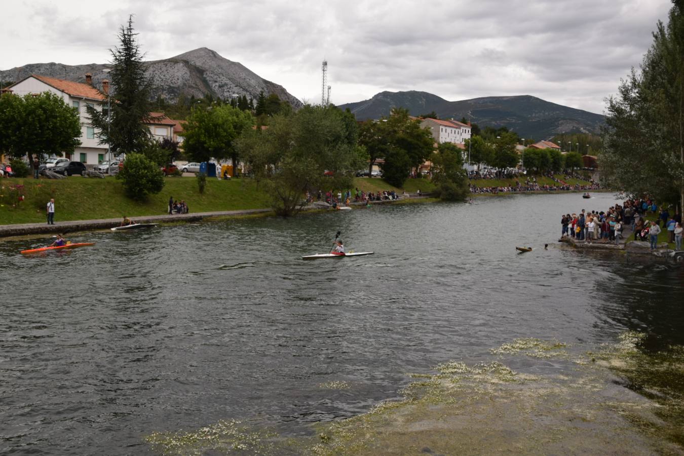 Regata en Velilla (1/2)