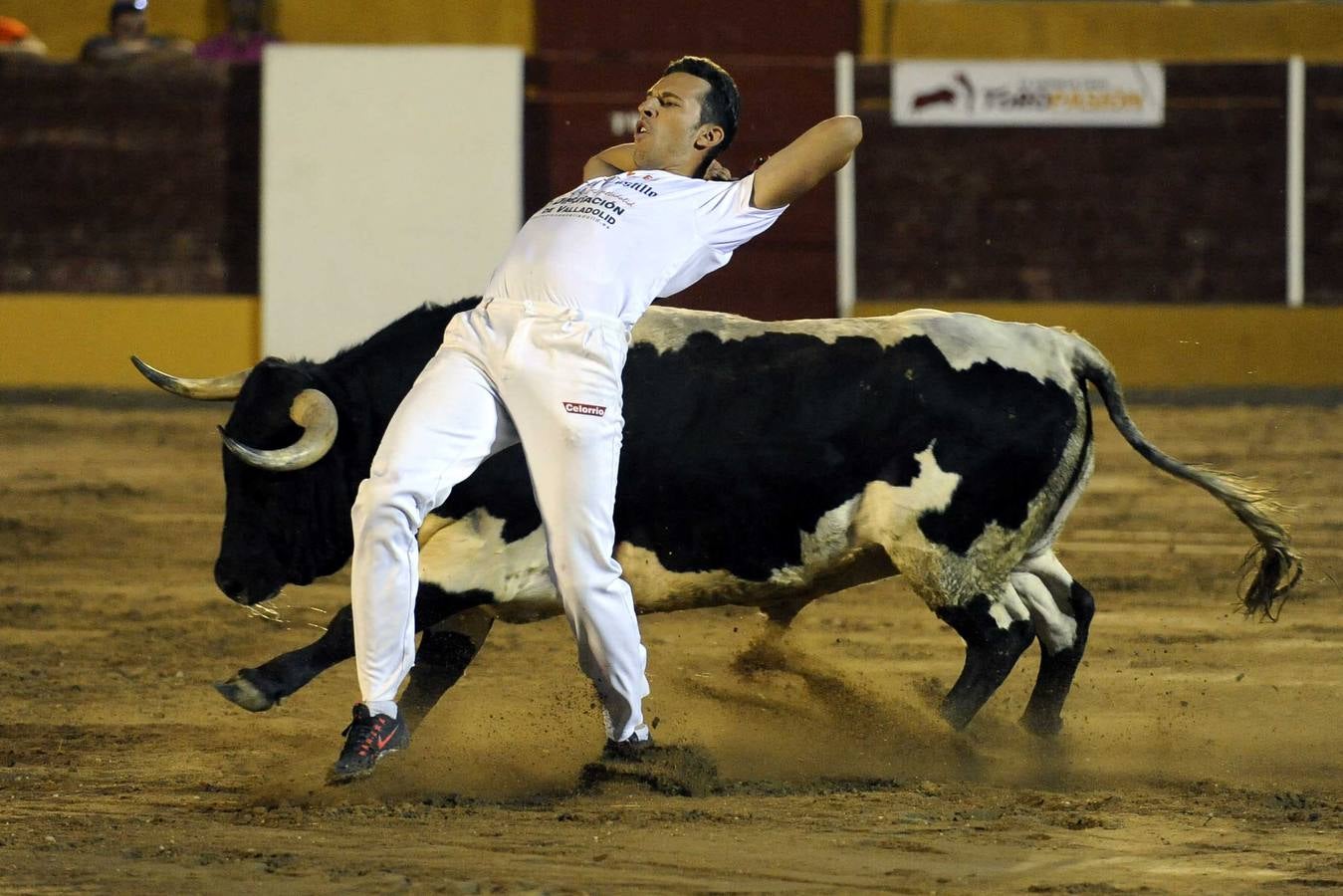 Concurso de Cortes en Pollos