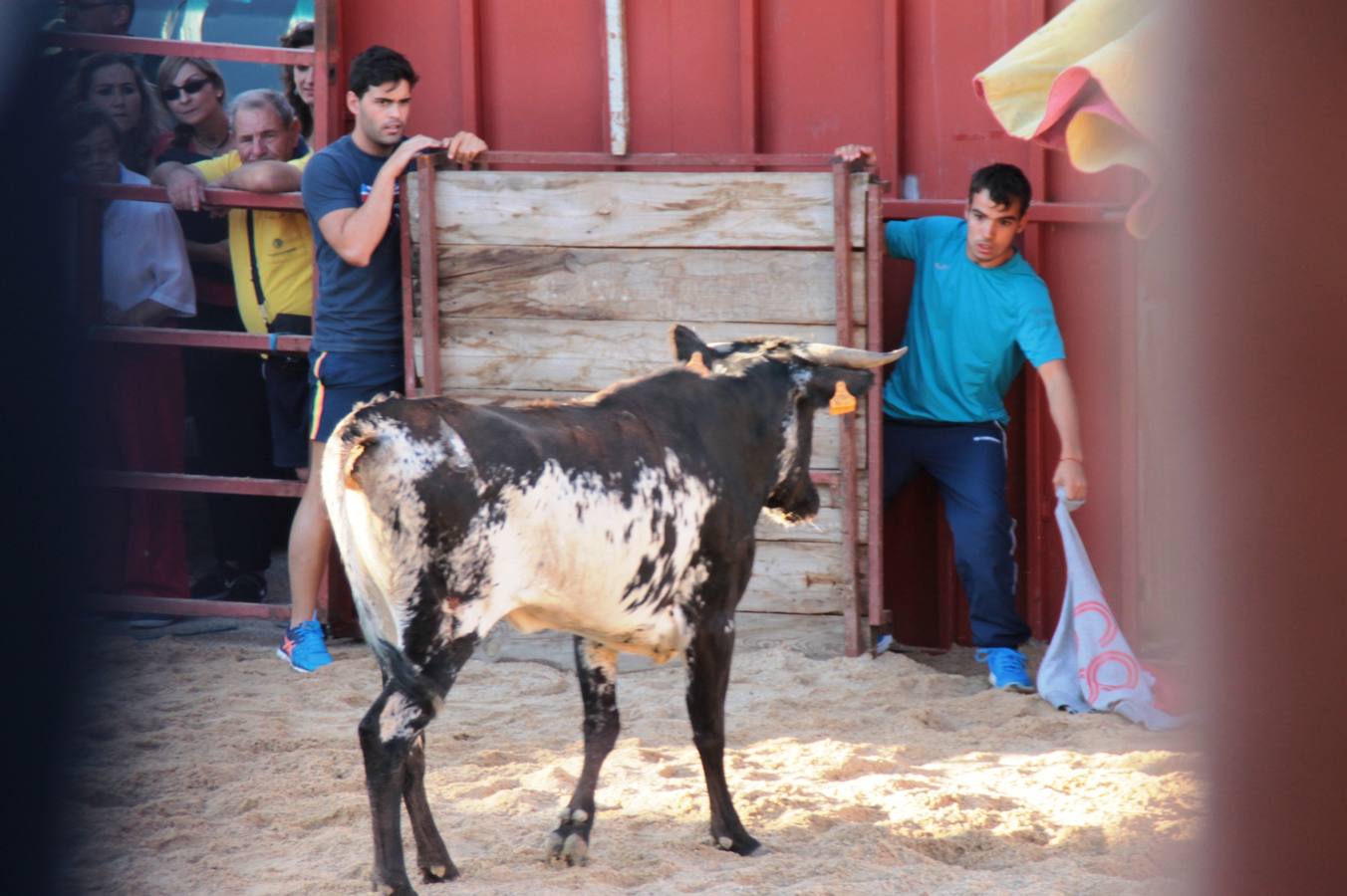 Primer encierro de las fiestas de Ciguñuela