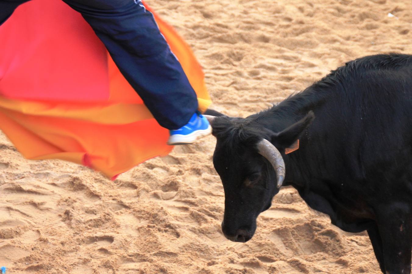 Segundo encierro de las fiestas de Ciguñuela