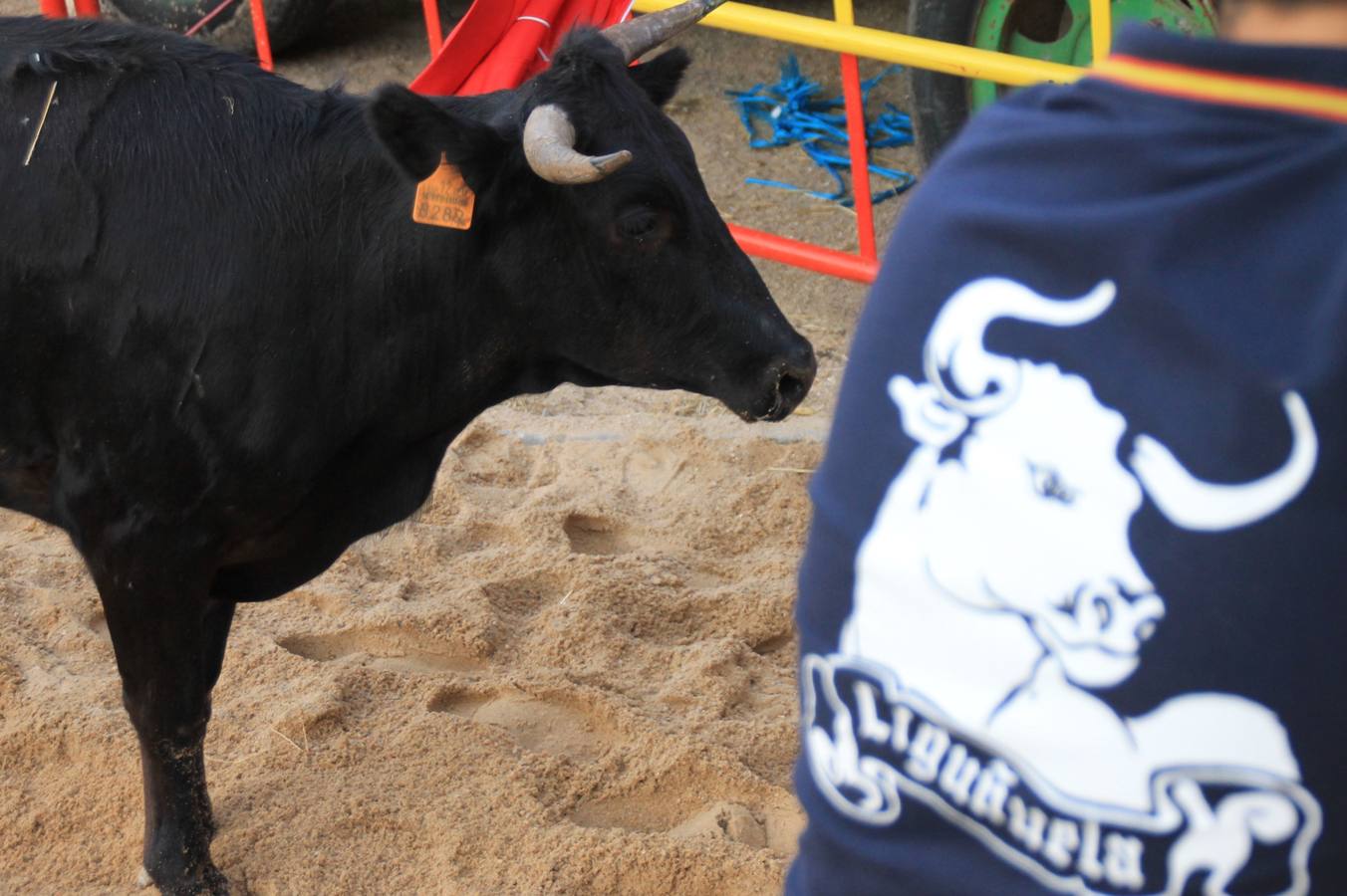 Segundo encierro de las fiestas de Ciguñuela