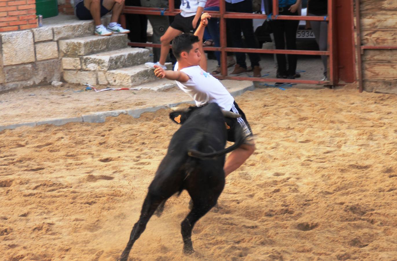 Segundo encierro de las fiestas de Ciguñuela