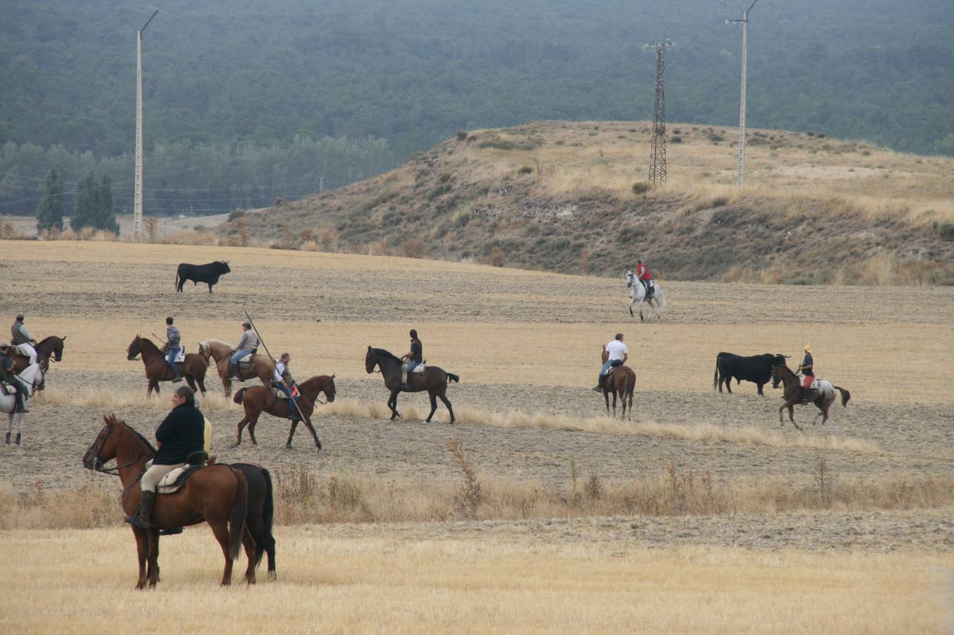 Segundo encierro de las fiestas de Cuéllar (Segovia)