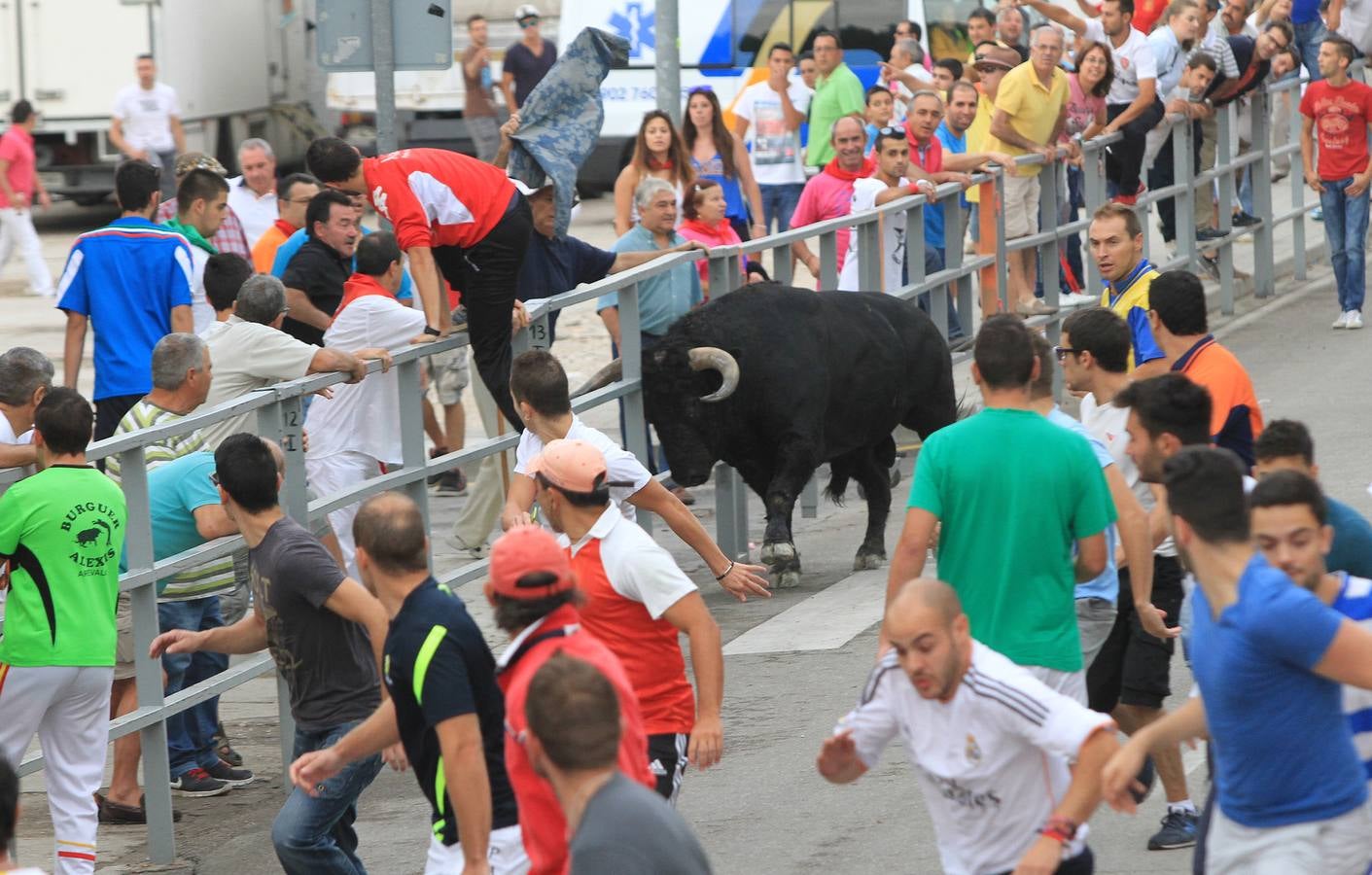 Segundo encierro de las fiestas de Cuéllar (Segovia)