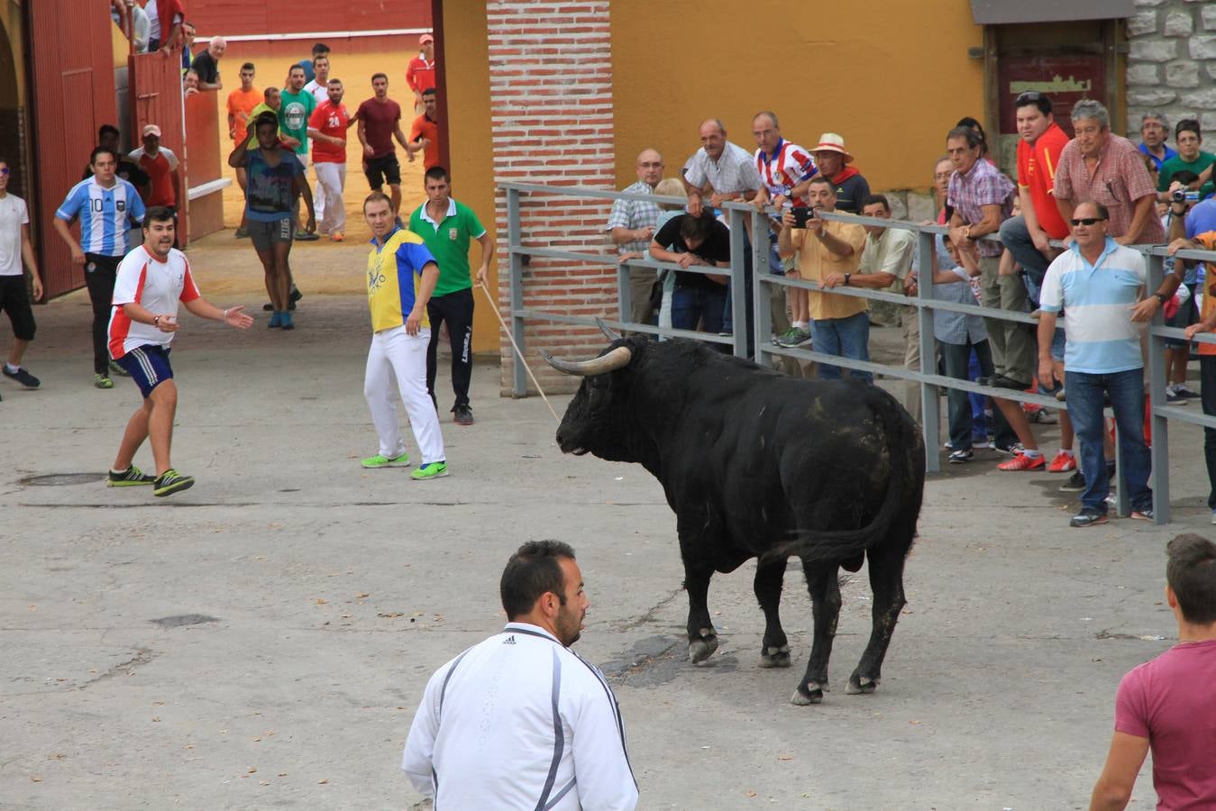 Segundo encierro de las fiestas de Cuéllar (Segovia)
