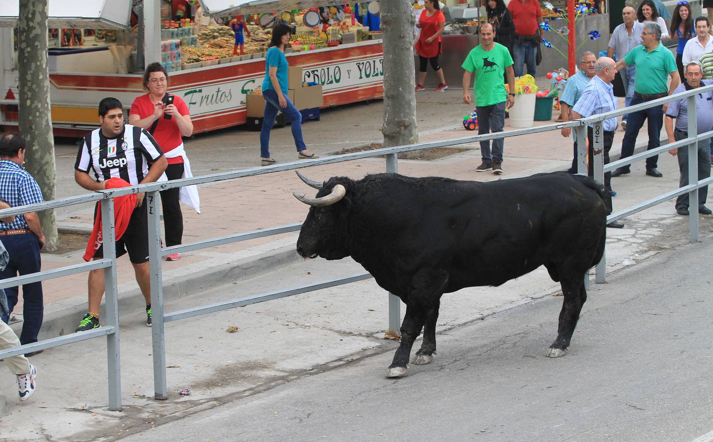 Segundo encierro de las fiestas de Cuéllar (Segovia)