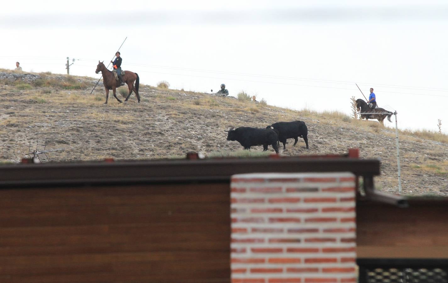 Segundo encierro de las fiestas de Cuéllar (Segovia)