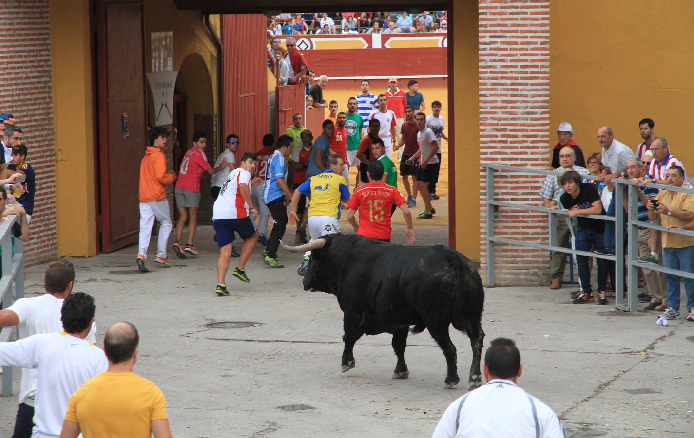 Segundo encierro de las fiestas de Cuéllar (Segovia)