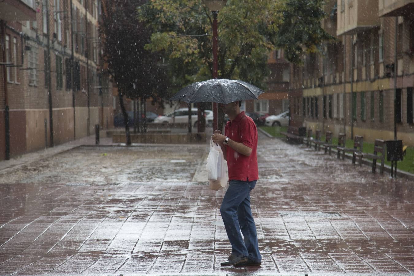 Intensa tormenta caída en Valladolid