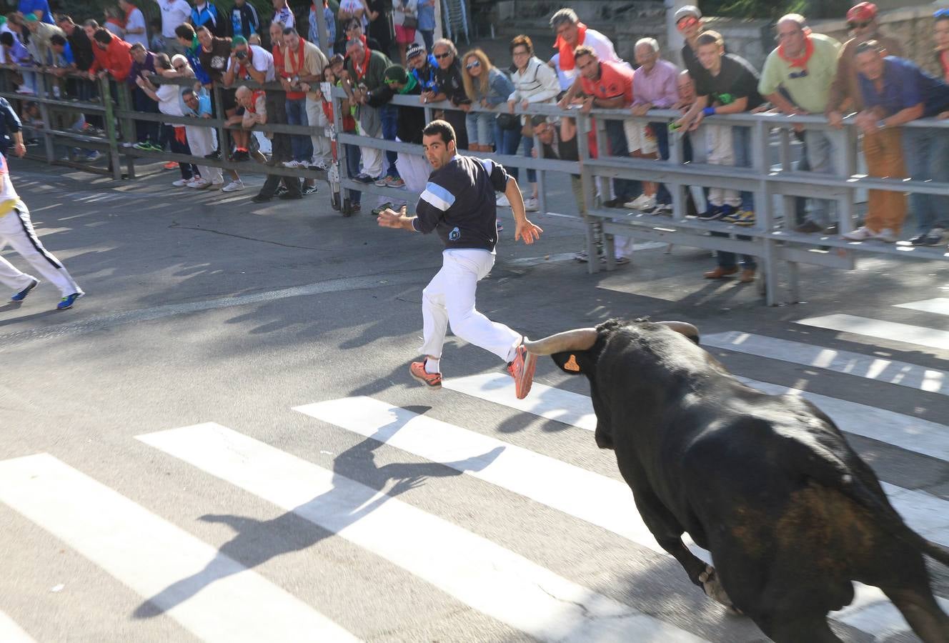 Tercer encierro de las fiestas de Cuéllar (Segovia)