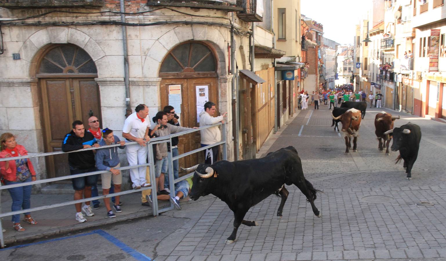 Tercer encierro de las fiestas de Cuéllar (Segovia)
