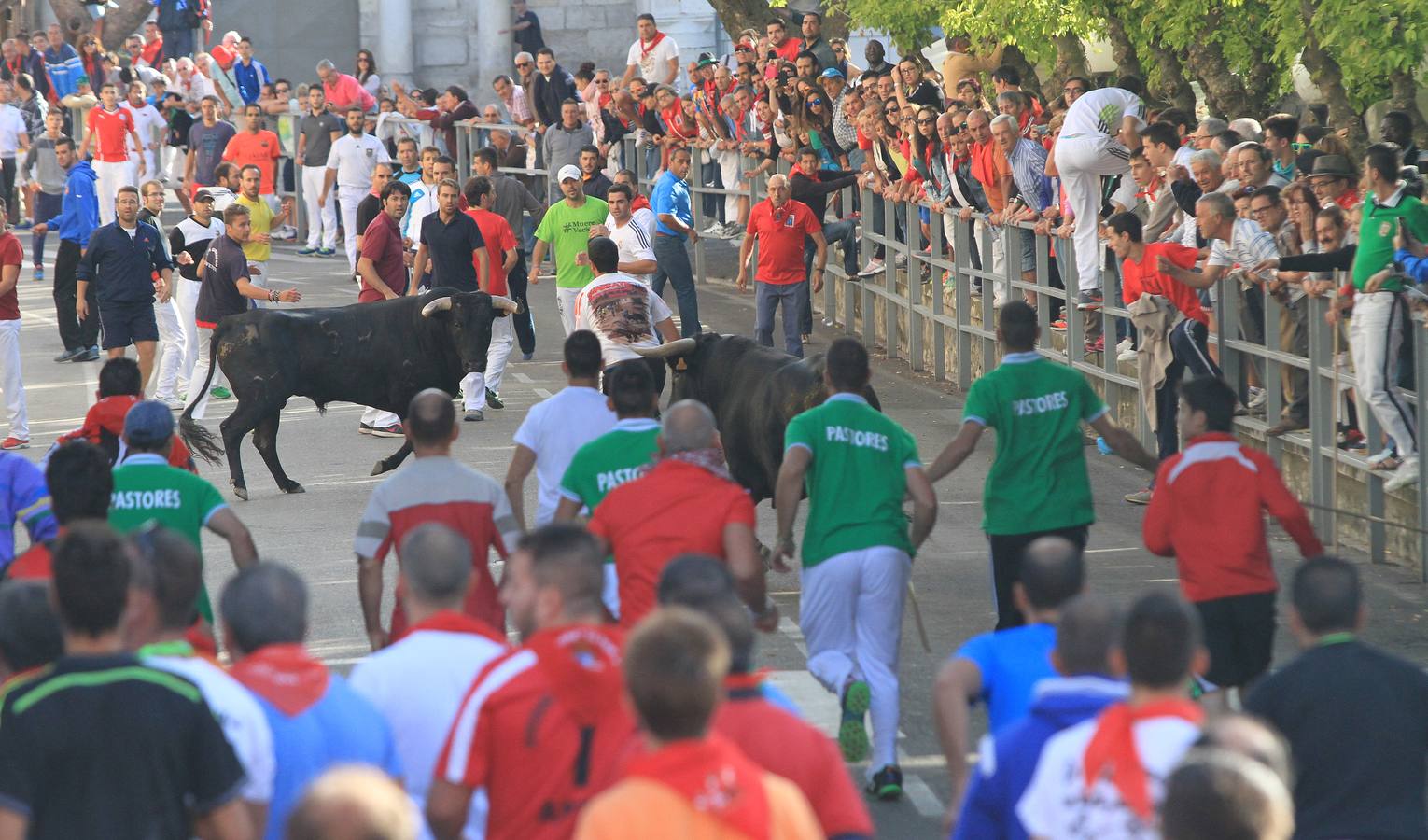 Tercer encierro de las fiestas de Cuéllar (Segovia)
