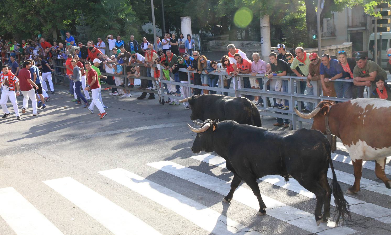 Tercer encierro de las fiestas de Cuéllar (Segovia)