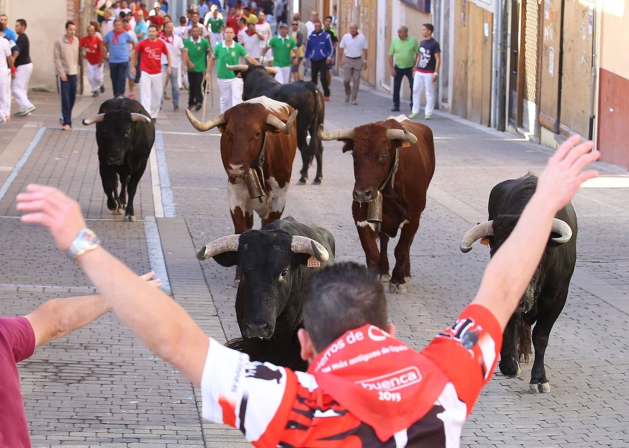 Tercer encierro de las fiestas de Cuéllar (Segovia)