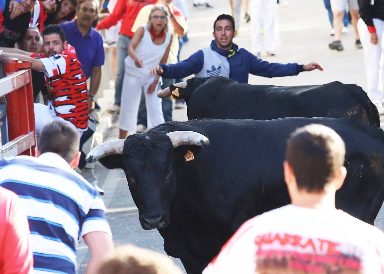 Tercer encierro de las fiestas de Cuéllar (Segovia)